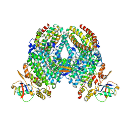 BU of 4p1c by Molmil