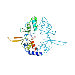 BU of 4p1g by Molmil