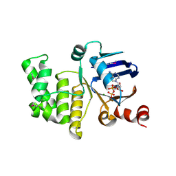 BU of 4p31 by Molmil