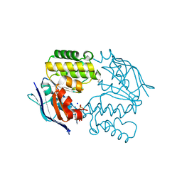 BU of 4p33 by Molmil