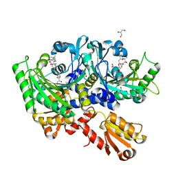 BU of 4p3o by Molmil