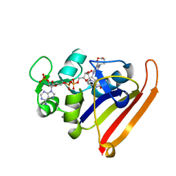 BU of 4p3q by Molmil