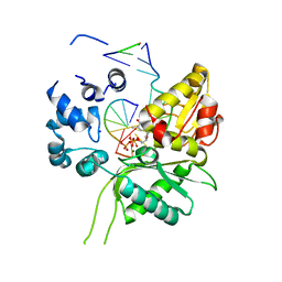 BU of 4p4o by Molmil