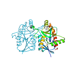 BU of 4p54 by Molmil