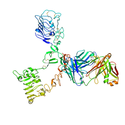 BU of 4p59 by Molmil