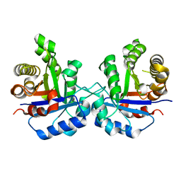 BU of 4p61 by Molmil