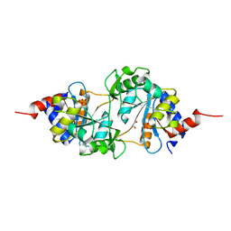 BU of 4p6d by Molmil