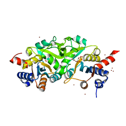 BU of 4p6p by Molmil