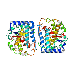 BU of 4p6t by Molmil