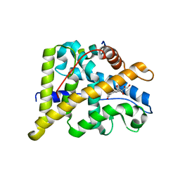 BU of 4p6x by Molmil