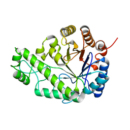 BU of 4p7n by Molmil