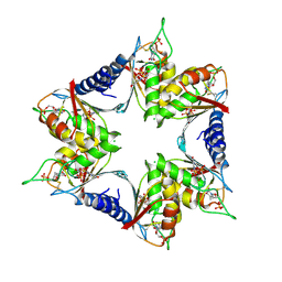 BU of 4p9d by Molmil