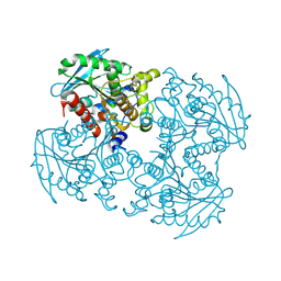 BU of 4p9n by Molmil