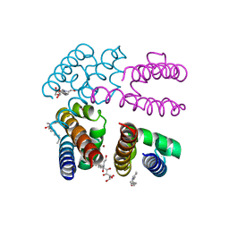 BU of 4p9o by Molmil