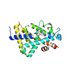 AU of 4pa2 by Molmil