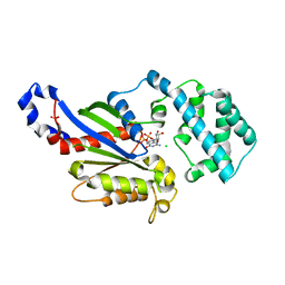 BU of 4pan by Molmil