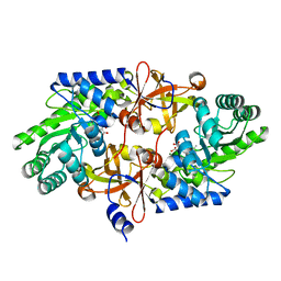 BU of 4pb4 by Molmil