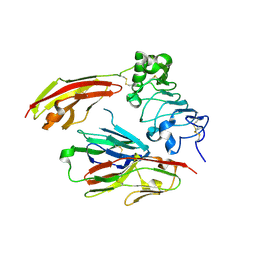 BU of 4pbv by Molmil