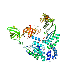 BU of 4pc6 by Molmil