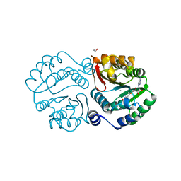 BU of 4pcl by Molmil