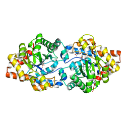 BU of 4pcn by Molmil