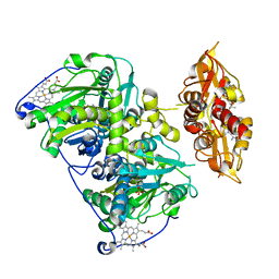 AU of 4pcu by Molmil