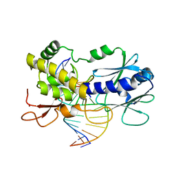 BU of 4pd2 by Molmil