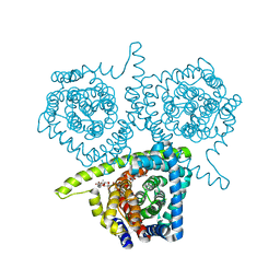 BU of 4pd6 by Molmil