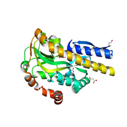 BU of 4pdd by Molmil