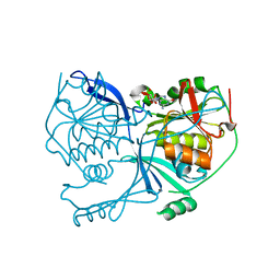 BU of 4pde by Molmil