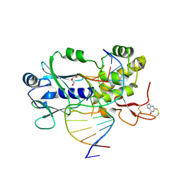 BU of 4pdg by Molmil