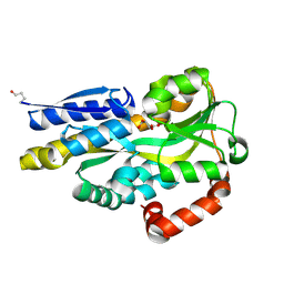 BU of 4pdh by Molmil