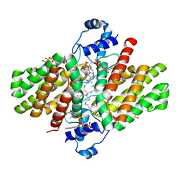 BU of 4pdk by Molmil