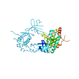 BU of 4pdp by Molmil