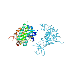 BU of 4pds by Molmil