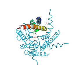 BU of 4pdv by Molmil