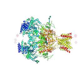 BU of 4pe5 by Molmil