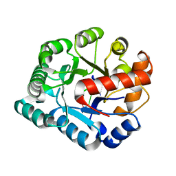 BU of 4pe8 by Molmil