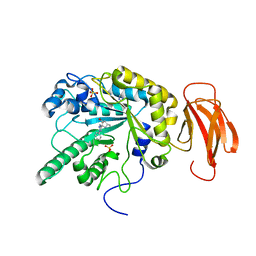 BU of 4pee by Molmil