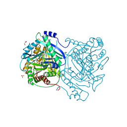 AU of 4pen by Molmil