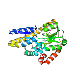 BU of 4pf8 by Molmil