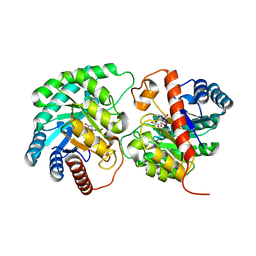 BU of 4pfh by Molmil