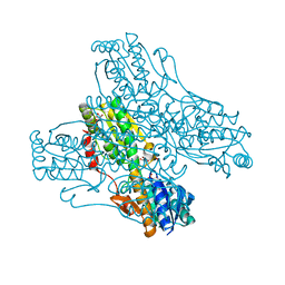 BU of 4pfk by Molmil