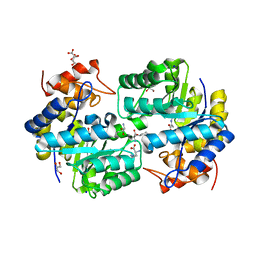 BU of 4pfm by Molmil