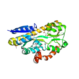 BU of 4pfr by Molmil