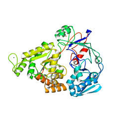 BU of 4pft by Molmil