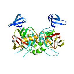 BU of 4pfz by Molmil