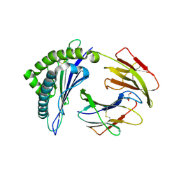 BU of 4pgd by Molmil