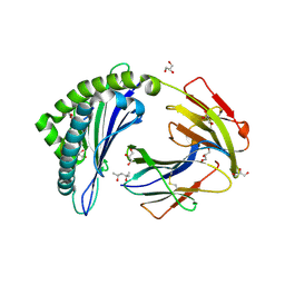 BU of 4pge by Molmil