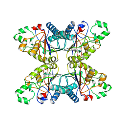 BU of 4pgm by Molmil